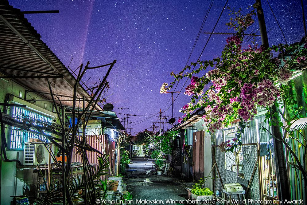 Znamy zwycięzców Sony World Photography Awards 2015 5