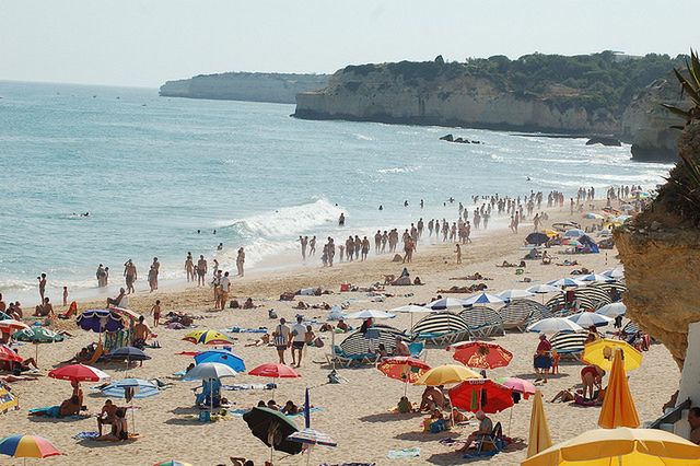 Meduzy na hiszpańskim Costa del Sol. Ostrzeżenie