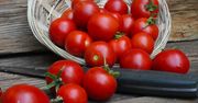 Przechowuję pomidory z tymi owocami. Dzięki temu nawet te ze sklepu są słodkie i bardzo smaczne