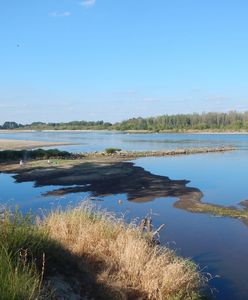Alarm nad Wisłą. Zasolenie przekracza normy, władze szykują działania