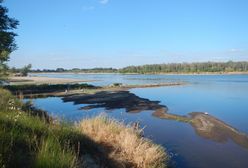 Alarm nad Wisłą. Zasolenie przekracza normy, władze szykują działania