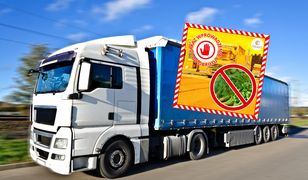 Służby zatrzymały transport z Iranu. 14 ton żywności jechało do Polski