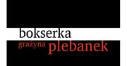 Złotnik 2. Burzliwe lato