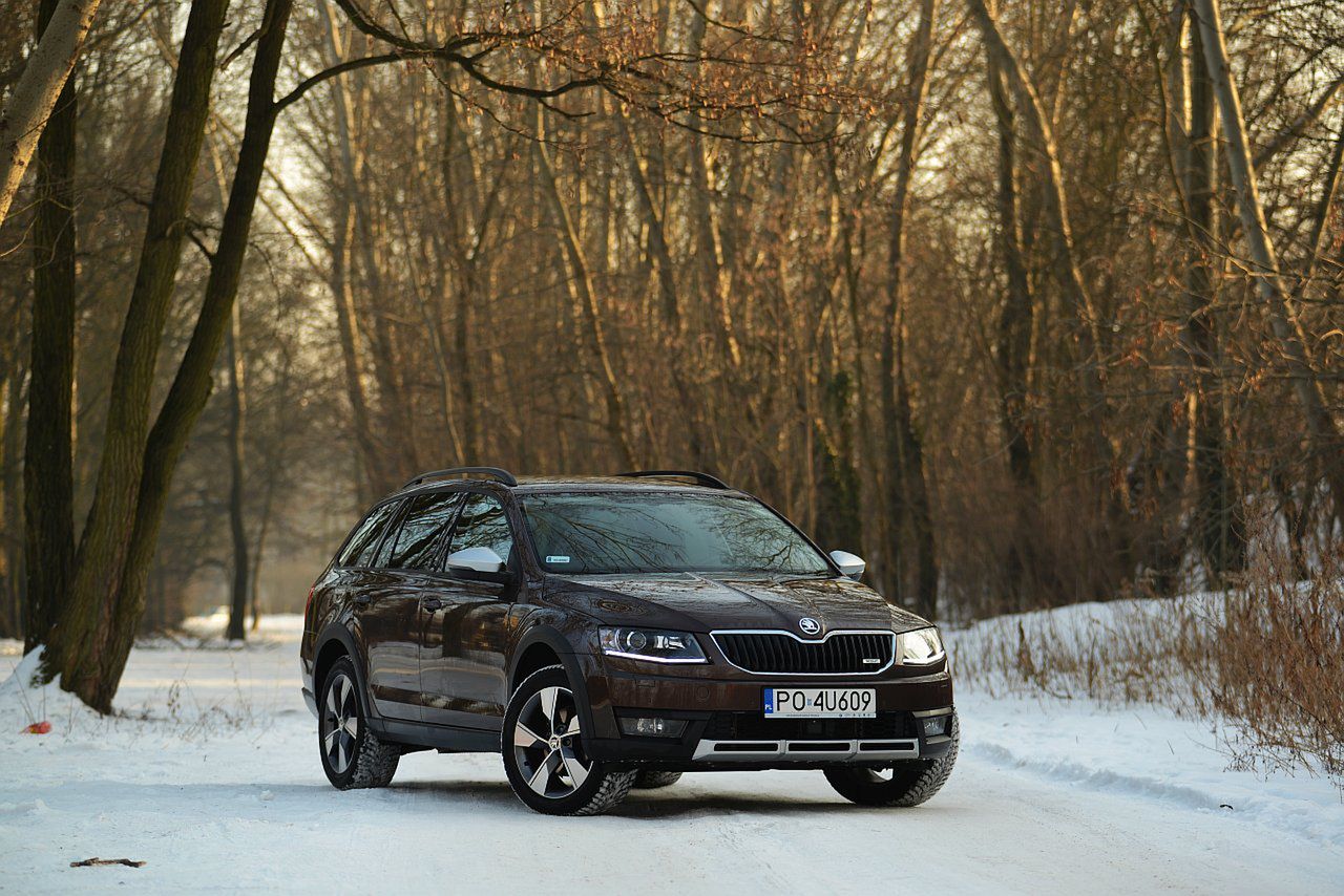 Skoda Octavia Scout 1.6 TDI - zdjęcia z testu