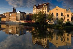 Kandydaci na prezydenta Opola w wyborach samorządowych 2024