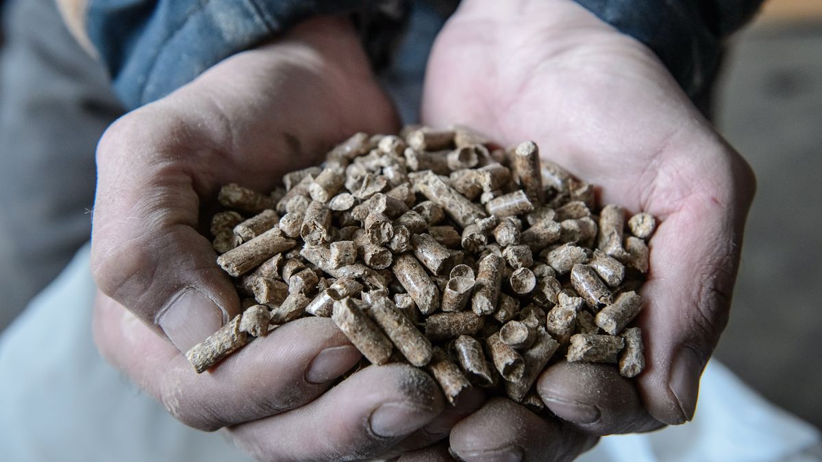 produkcja peletu
Wojciech Pacewicz
ciep�o, ekologia, ma�a emisja, materia� grzewczy, naturalne, ogrzewanie, opa�, palenie, pelet, pelety, pellet, pellety, smog