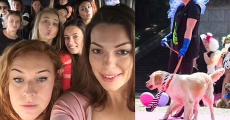 "Supermodelki Plus Size" walczą o pozostanie w programie: "Tu widzę starą babcię!"