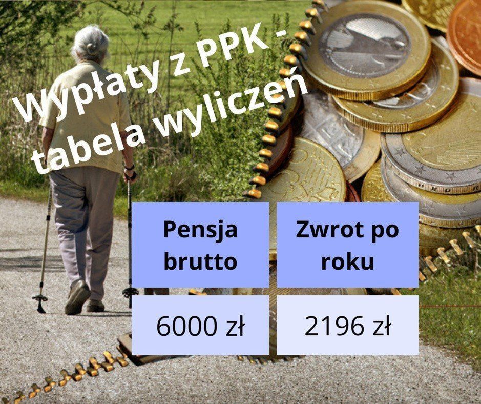 Roczny zysk z PPK przy pensji brutto 6000 zł