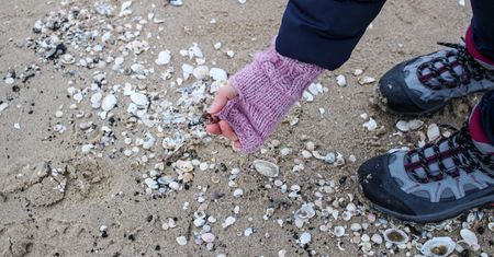 Tropikalny skarb Bałtyku. Gdy morze "siada" po sztormie, biegnij na plażę