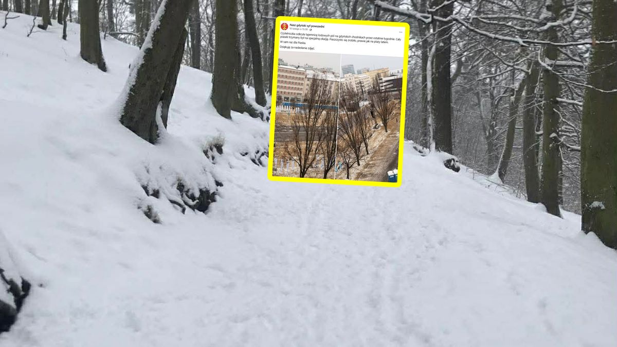 Poruszenie wokół sytuacji na trójmiejskich chodnikach.