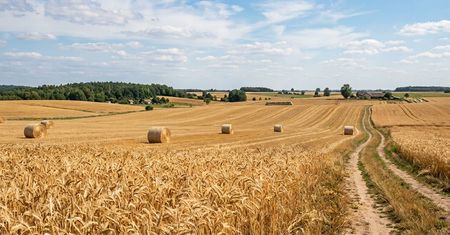 XXI Dożynki Gminne w Dominowie