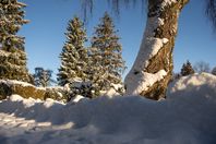 Park Miejski Piła, zima, śnieg, styczeń 2026