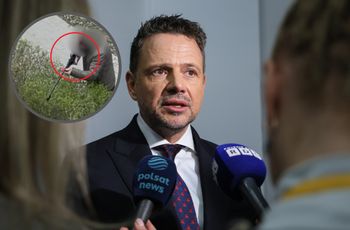 Warszawa walczy z dzikami. Jest decyzja Trzaskowskiego