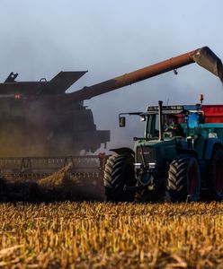 Trzymają zboże i czekają. I powinni czekać dalej. "Prosty mechanizm"