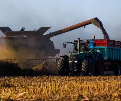 Trzymają zboże i czekają. I powinni czekać dalej. "Prosty mechanizm"