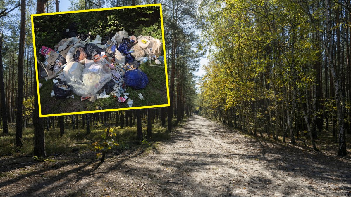Leśnicy pokazali zdjęcia. Ktoś zostawił stertę śmieci