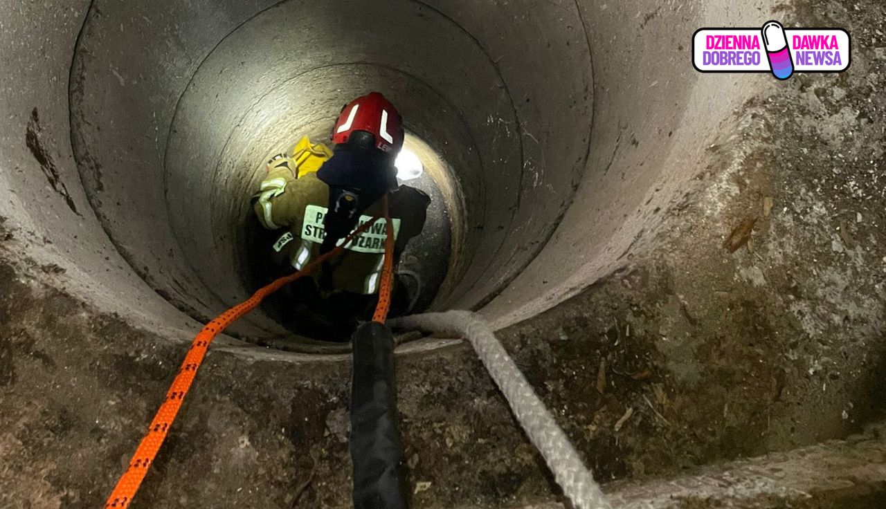 Taki widok w studni. Natychmiast wezwali służby