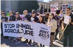 Warszawa. Marsz wyzwolenia zwierząt. Stop z kotletem, futrem, okrucieństwem