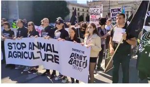 Warszawa. Marsz wyzwolenia zwierząt. Stop z kotletem, futrem, okrucieństwem