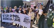 Warszawa. Marsz wyzwolenia zwierząt. Stop z kotletem, futrem, okrucieństwem