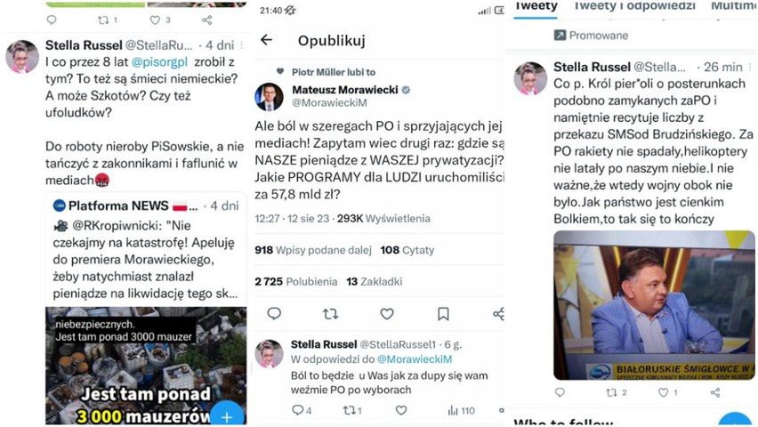 Wypowiedzi Moniki Rapacewicz na portalu Twitter