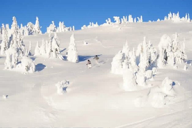 Wyśmienite warunki narciarskie w Alpach