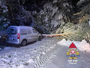 Kujawsko-Pomorskie: Ciężki śnieg łamał konary. Nadchodzi gołoledź
