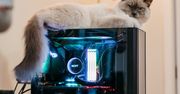 TOP 5 PC dla graczy do 5000 zł