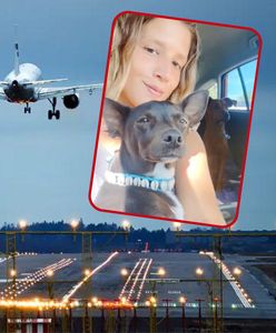 Linie lotnicze zgubiły psa pasażerki. Szukają go już dwa tygodnie