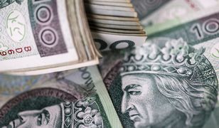 Złoty się umocni? "NBP nie jest bezbronny"