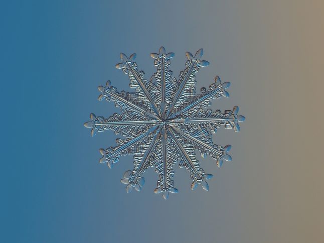 417831169162958706