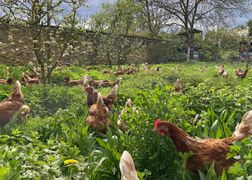 Planete+ Organiczna rewolucja