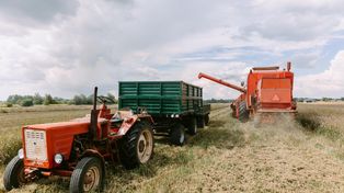 Drugi termin składania wniosków o rekompensaty dla rolników