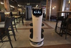 Rewolucja w łódzkiej restauracji. Gości obsługuje robot, ale nie każdemu to się podoba