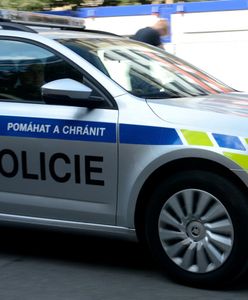 Nasi sąsiedzi przywracają kontrole na granicy. Będą negocjacje