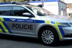 Nasi sąsiedzi przywracają kontrole na granicy. Będą negocjacje