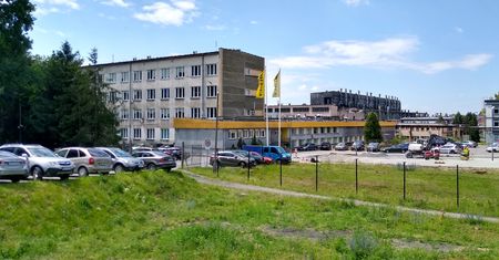 "Przykład robienia w konia inwestorów z Polski". Ekonomista komentuje politykę znanego zakładu