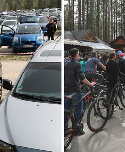 Ogromne kolejki przed kasami. Wszyscy chcą zobaczyć atrakcję