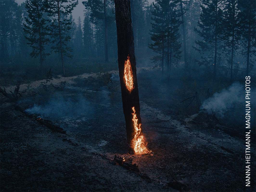 World Press Photo 2022: Poznaj najlepszych fotografów różnych kontynentów 53