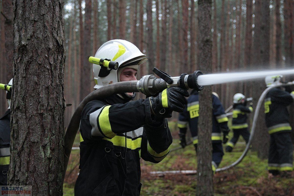 Lipno: Policjanci zatrzymali podpalacza lasów. 28-latek odpowie za serię pożarów ściółki