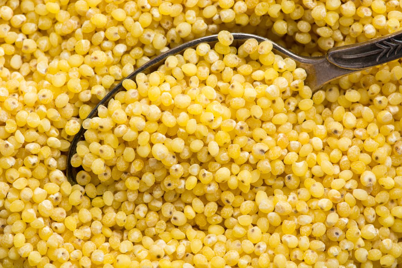 Millet: The grain that could replace potatoes for weight loss