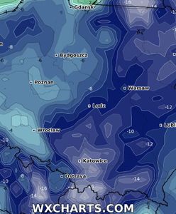 Najmroźniejsza noc? "Mróz skuje całą Polskę"