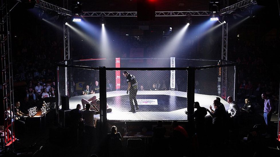 Zdjęcie okładkowe artykułu:  / oktagon MMA