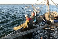Zakończył się protest rybaków na Zatoce Gdańskiej
