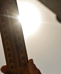 Fale upałów i dotkliwe susze. Anomalie nawiedzają Europę