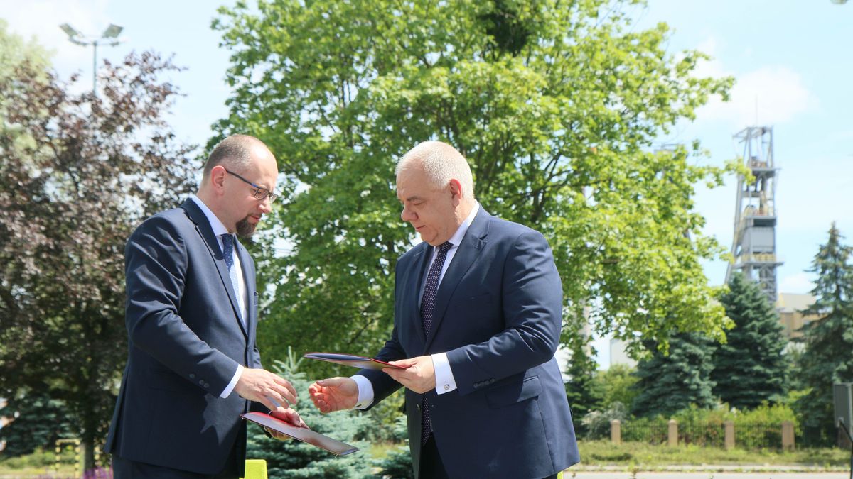 Enea: Skarb Państwa zaoferował ponad 988 mln zł za LW Bogdanka 