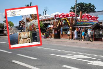 Ceny grozy w Krynicy Morskiej. Lepiej usiądź, zanim klikniesz