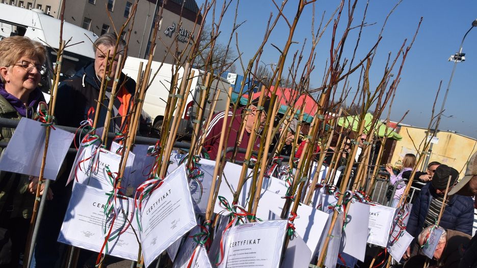 Akcja sprzedaży sadzonek renety landsberskiej za każdym razem cieszy się ogromnym zainteresowaniem. GRH sprzedaje drzewka dwa razy w ciągu roku.