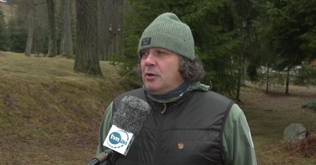 Poszukiwania mamy małego niedźwiadka. Zamknięto szlak w Tatrach