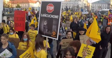 “Gdzie ta dobra zmiana?”. Wielki Marsz Dla Zwierząt w Warszawie.